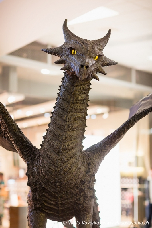 Draci a drakobijci