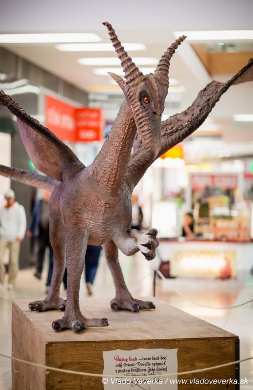 Draci a drakobijci
