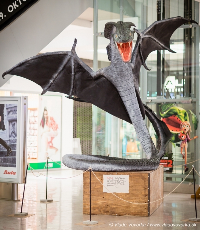 Draci a drakobijci