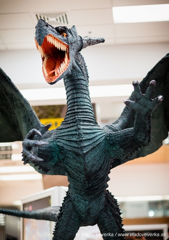 Draci a drakobijci