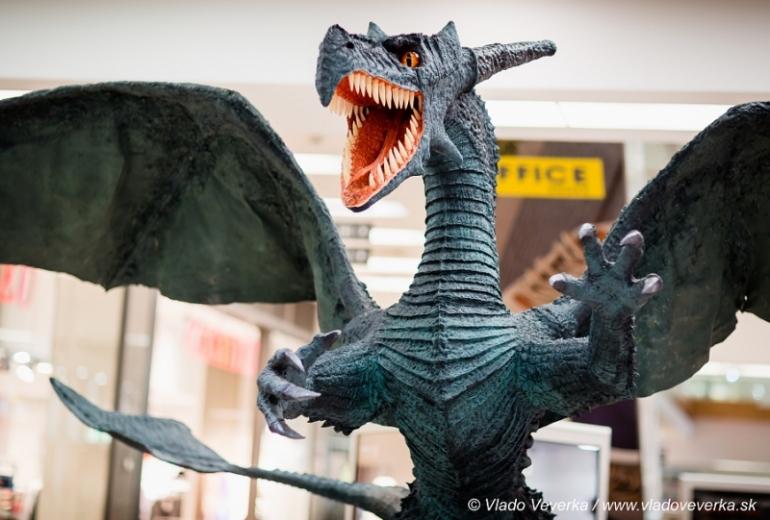 Draci a drakobijci