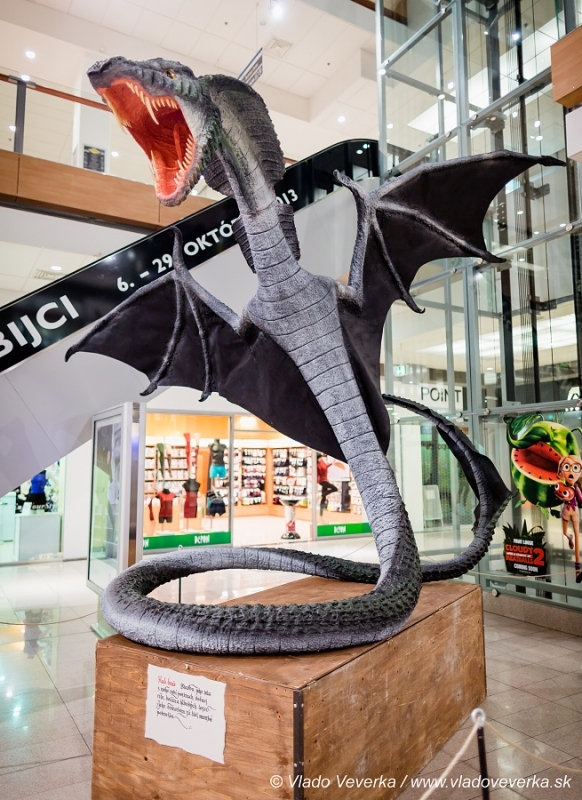 Draci a drakobijci