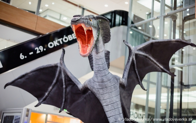 Draci a drakobijci