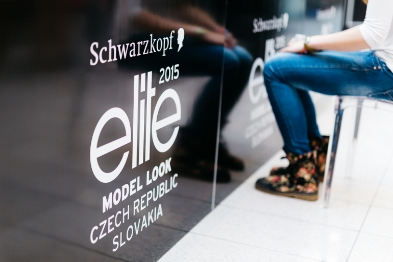 Schwarzkopf Elite Model Look 2015